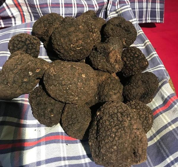  Crostini al tartufo scorzone estivo 